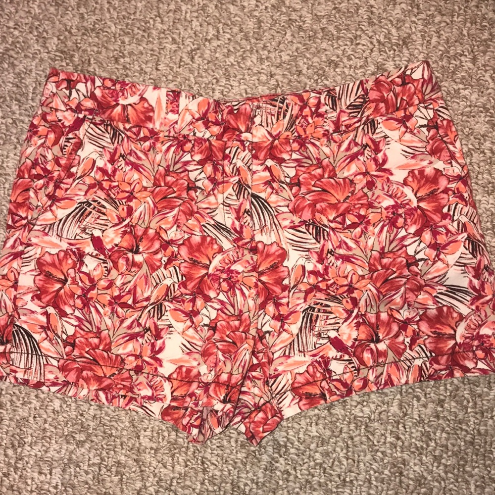 Loft Floral Pattern Shorts, size 10